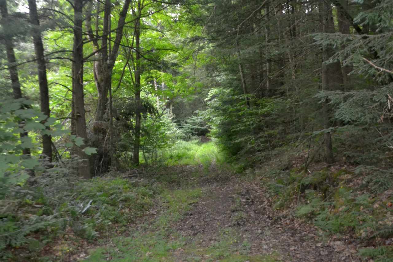 55 Jonesville Road Cornish, NH 03745 - Photo 2 of 10