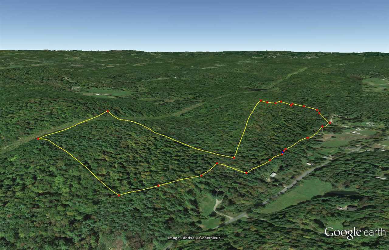 55 Jonesville Road Cornish, NH 03745 - Photo 4 of 10