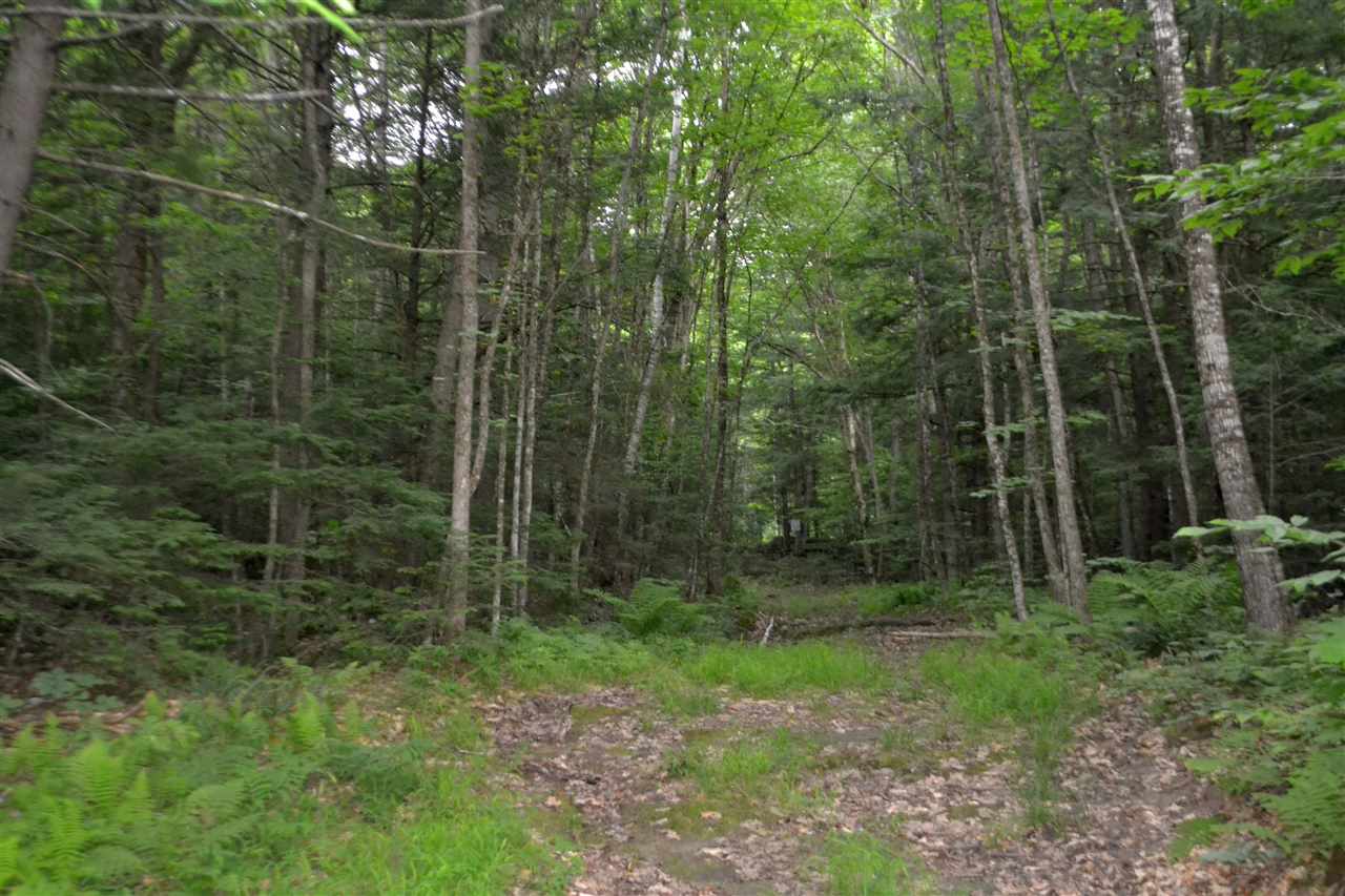 55 Jonesville Road Cornish, NH 03745 - Photo 6 of 10