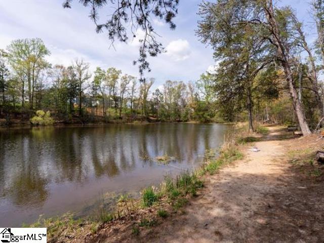 31 Alkanet Way Greenville, SC 29607 - Photo 46 of 48