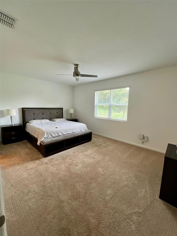 2536 Autumn Stream Drive Leesburg, FL 34748 - Photo 19 of 42