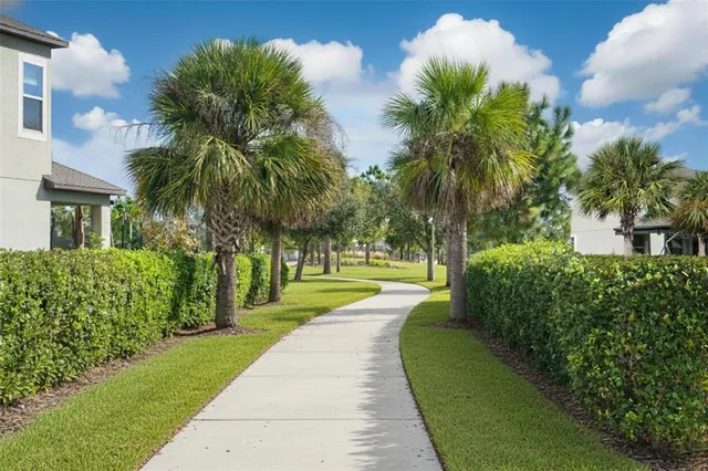 a view of a park with palm trees