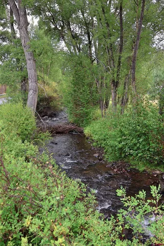 a view of a patio with table and chairs under an umbrella