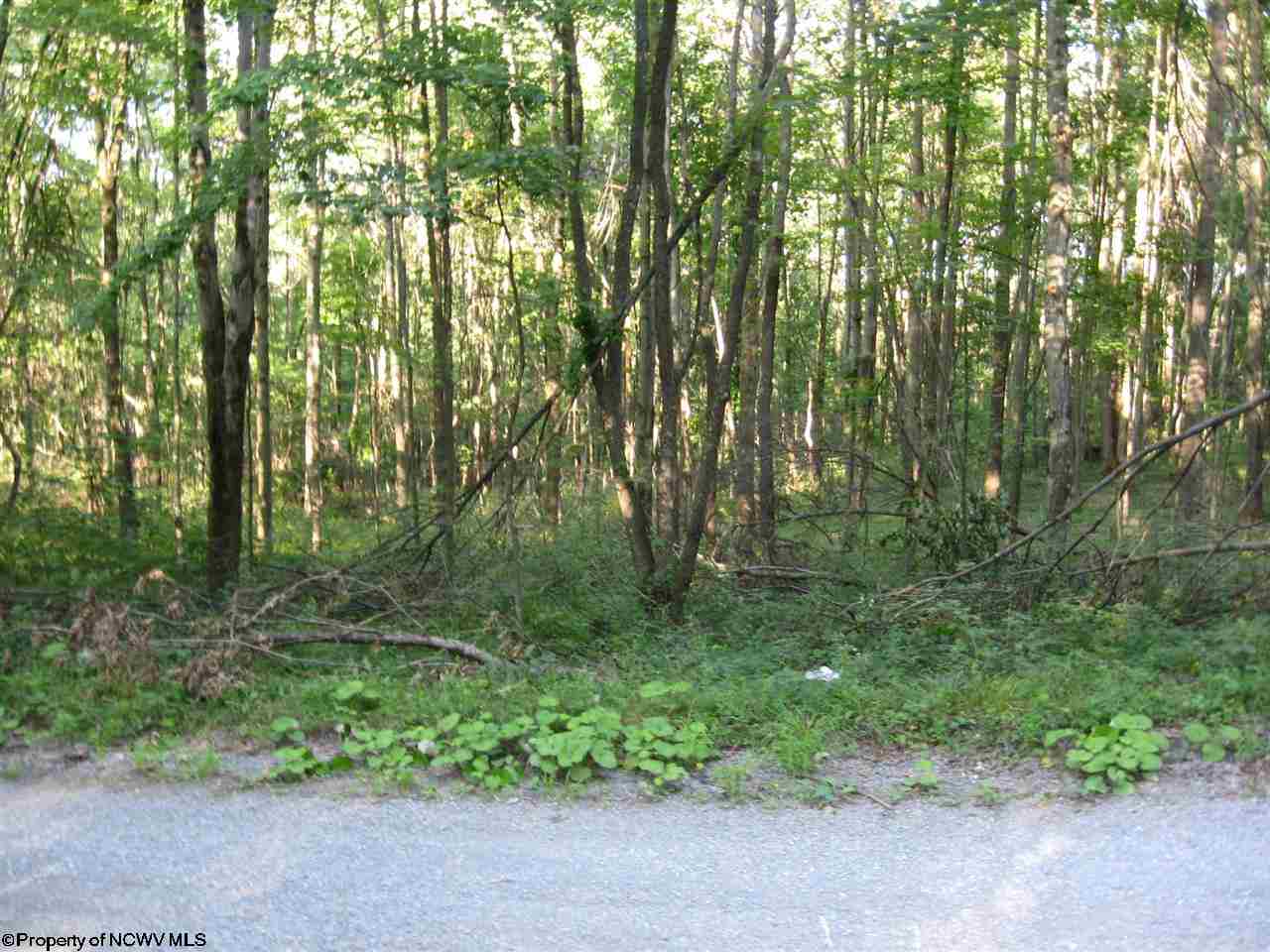 0 Sapp-weaver Road Independence, WV 26374 - Photo 1 of 2 Gallery Image 1