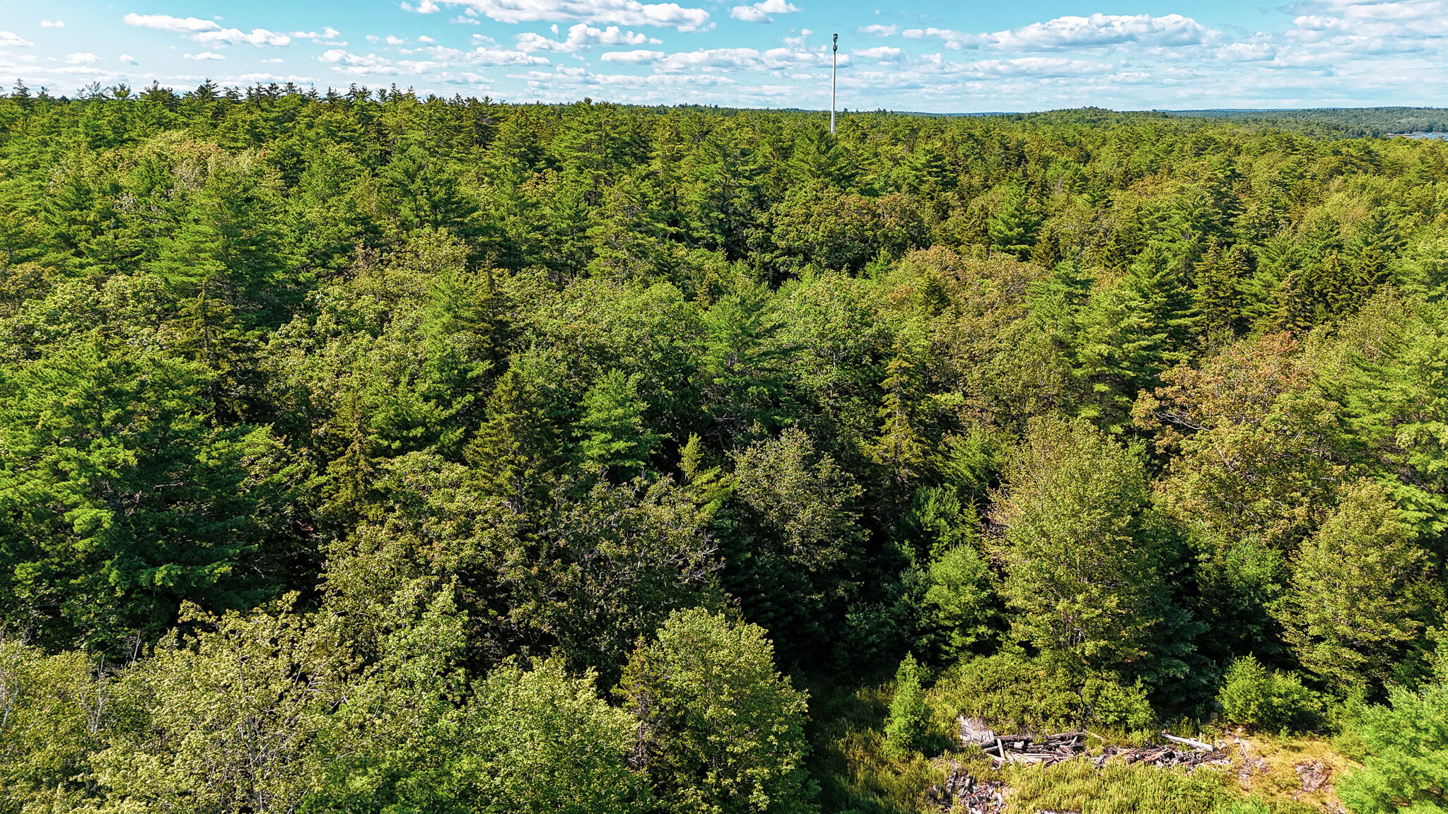 1 Plum Lane, Unit D Georgetown, ME 04548 - Photo 3 of 3