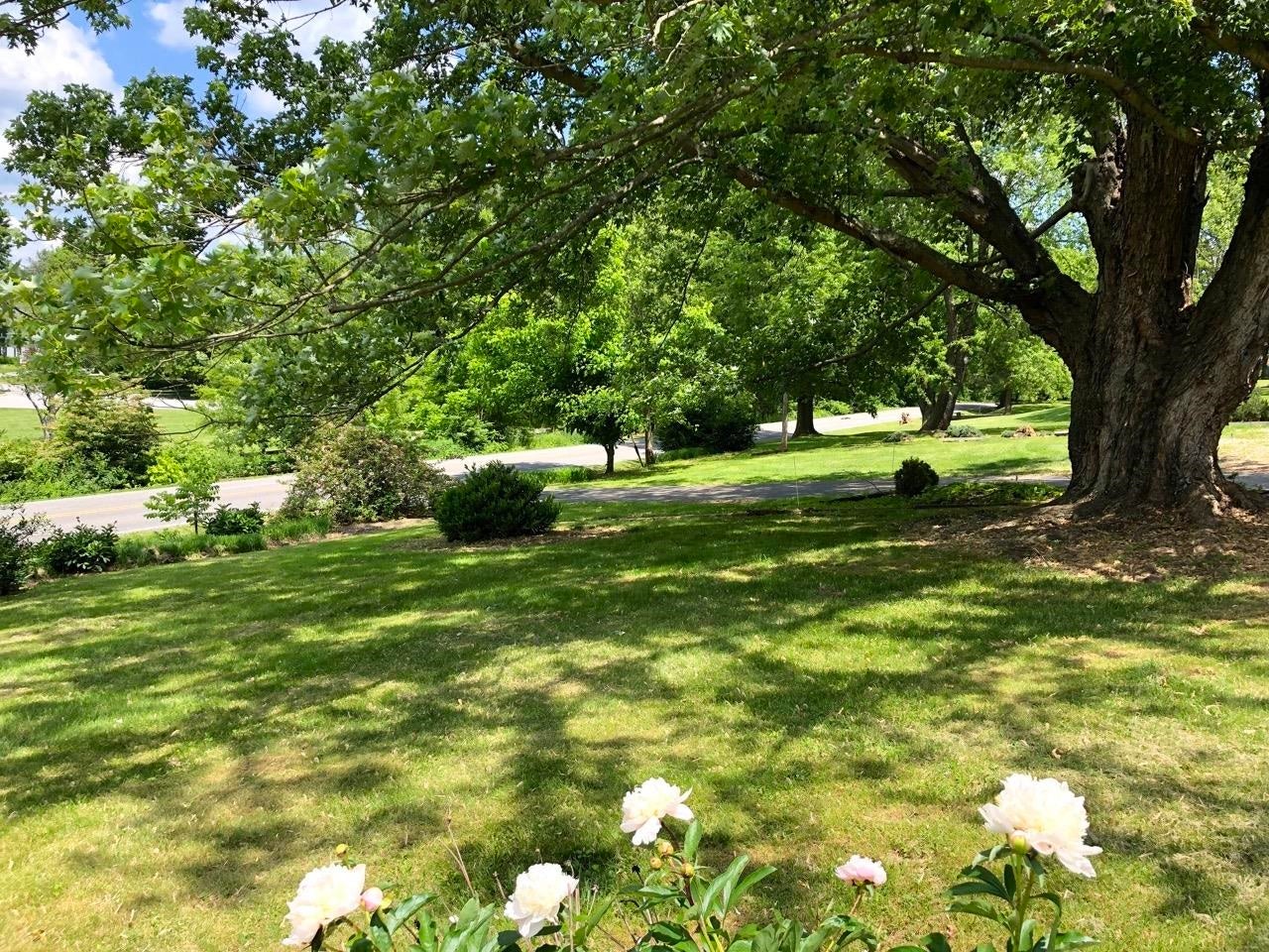 1849 Merrimac Road Blacksburg, VA 24060 - Photo 13 of 42 Gallery Image 13