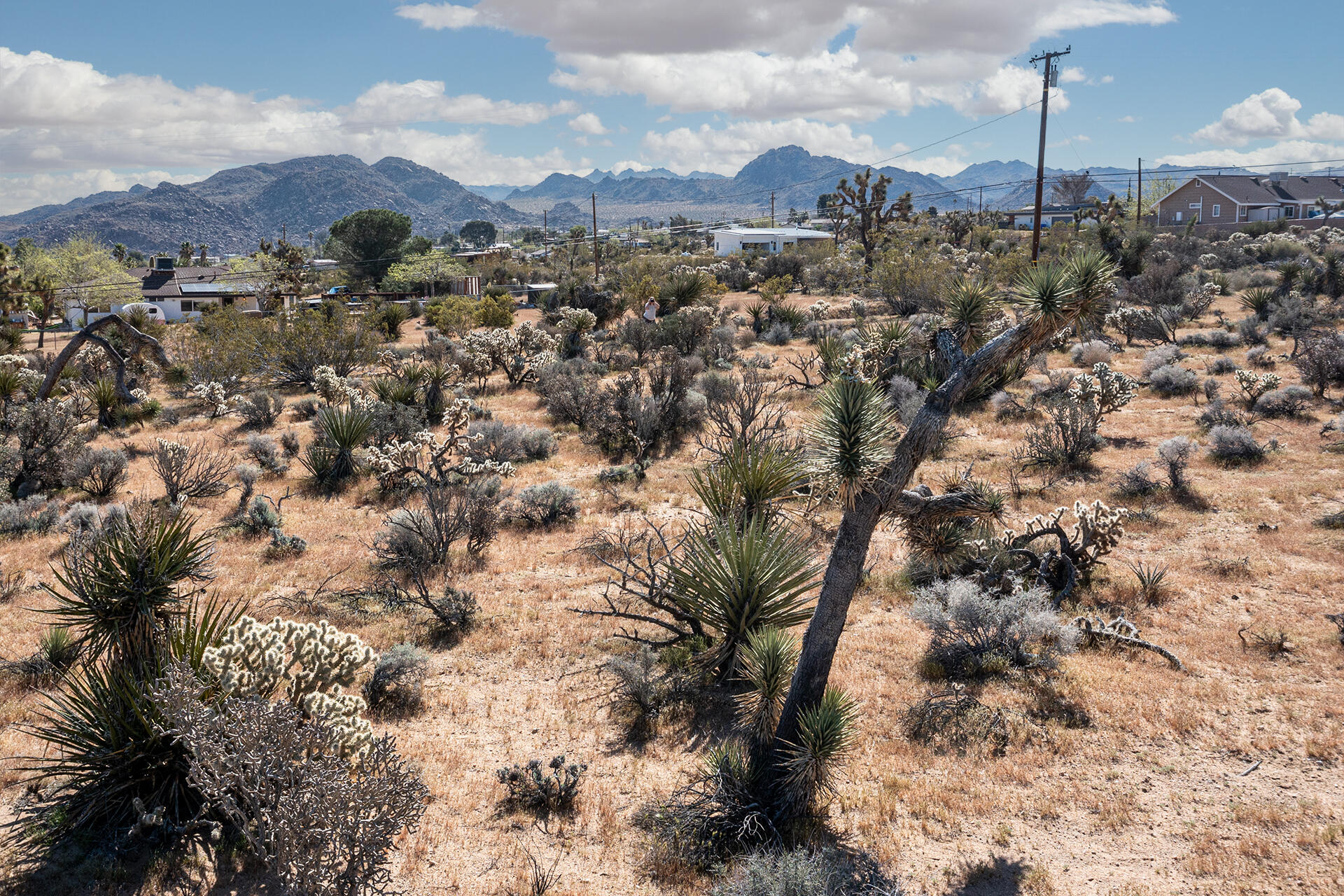 102 Saddleback Road Joshua Tree, CA 92252 - Photo 17 of 18 DJI_0047