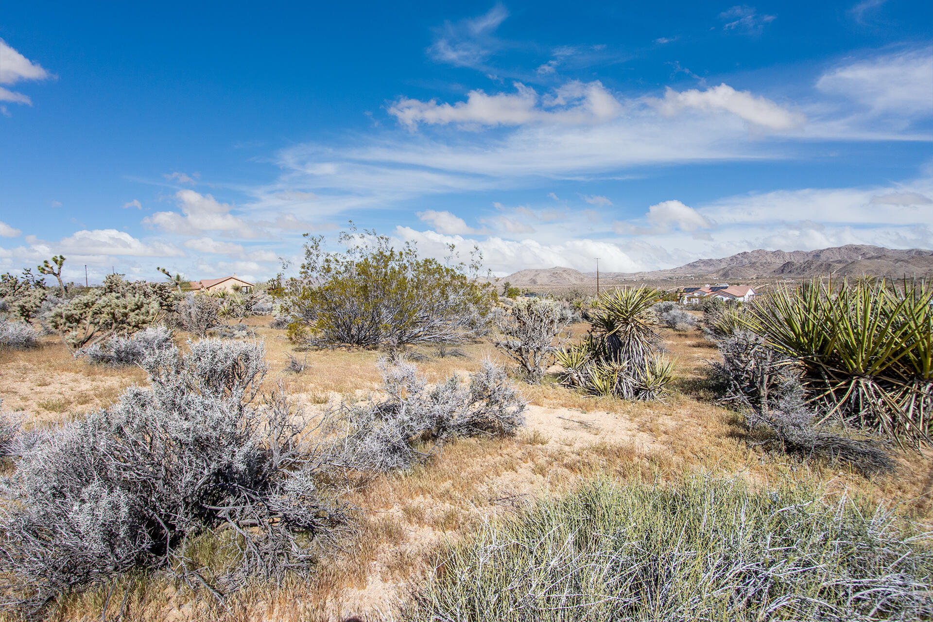 102 Saddleback Road Joshua Tree, CA 92252 - Photo 6 of 18 IMG_7722