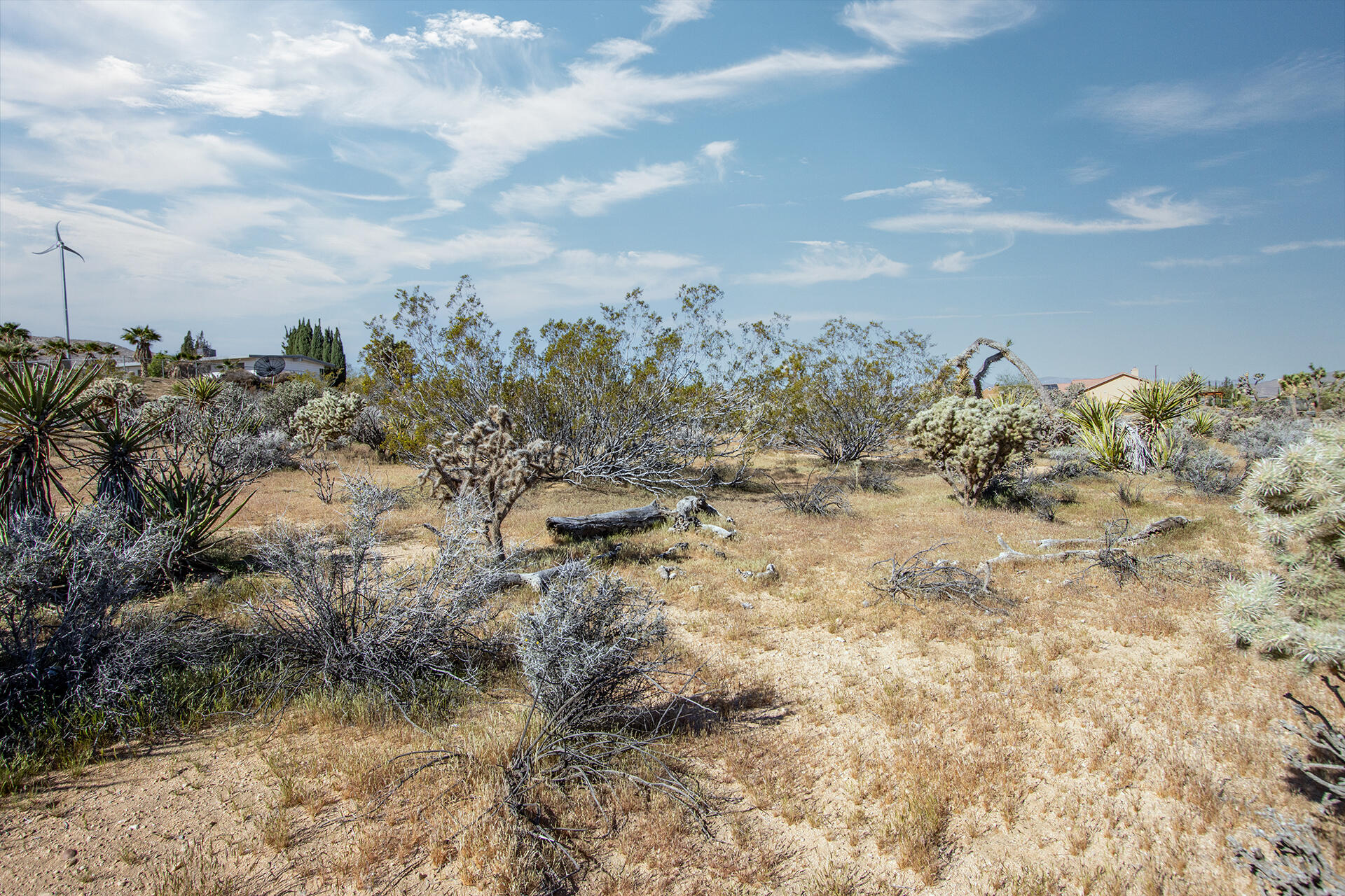102 Saddleback Road Joshua Tree, CA 92252 - Photo 8 of 18 IMG_7721