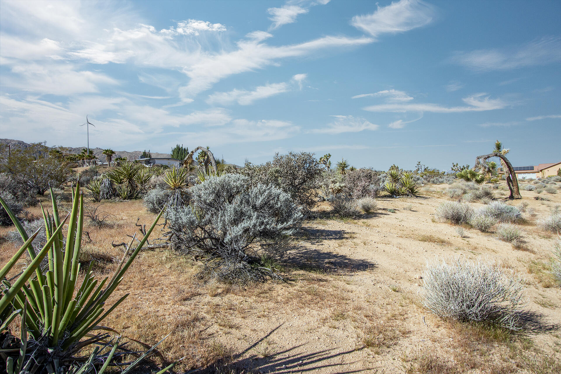 102 Saddleback Road Joshua Tree, CA 92252 - Photo 10 of 18 IMG_7720