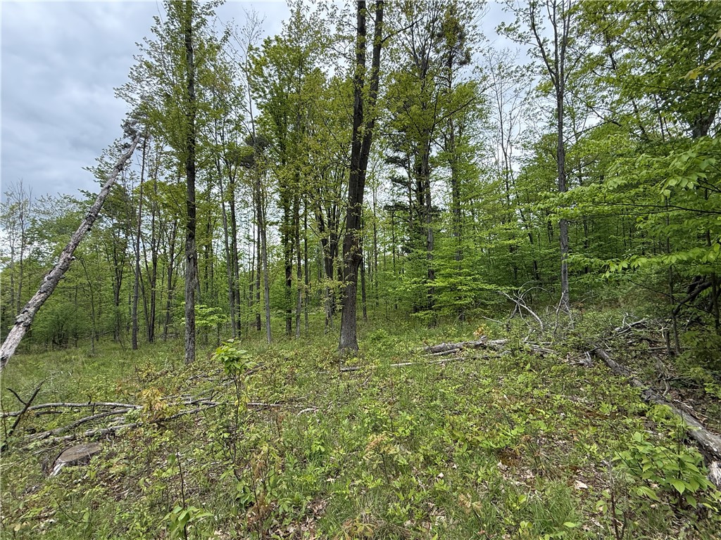 Hawley Road Bradford, NY 14815 - Photo 35 of 42