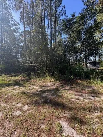 a view of a yard with plants and trees