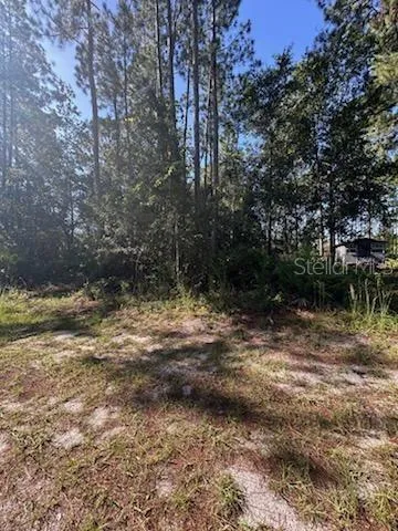 a view of a yard with plants and trees