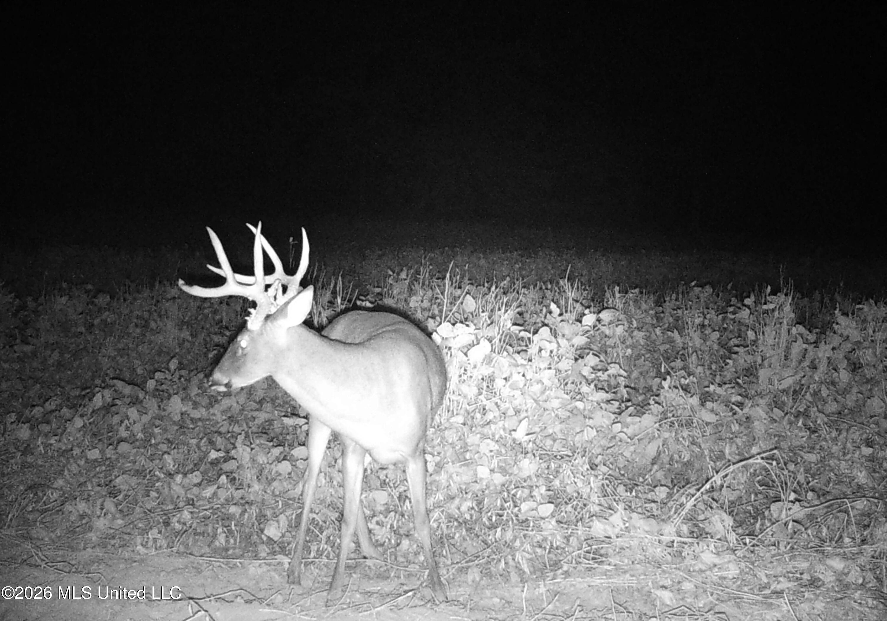 2776 Sees Chapel Road Sarah, MS 38665 - Photo 103 of 124 IMAG0052