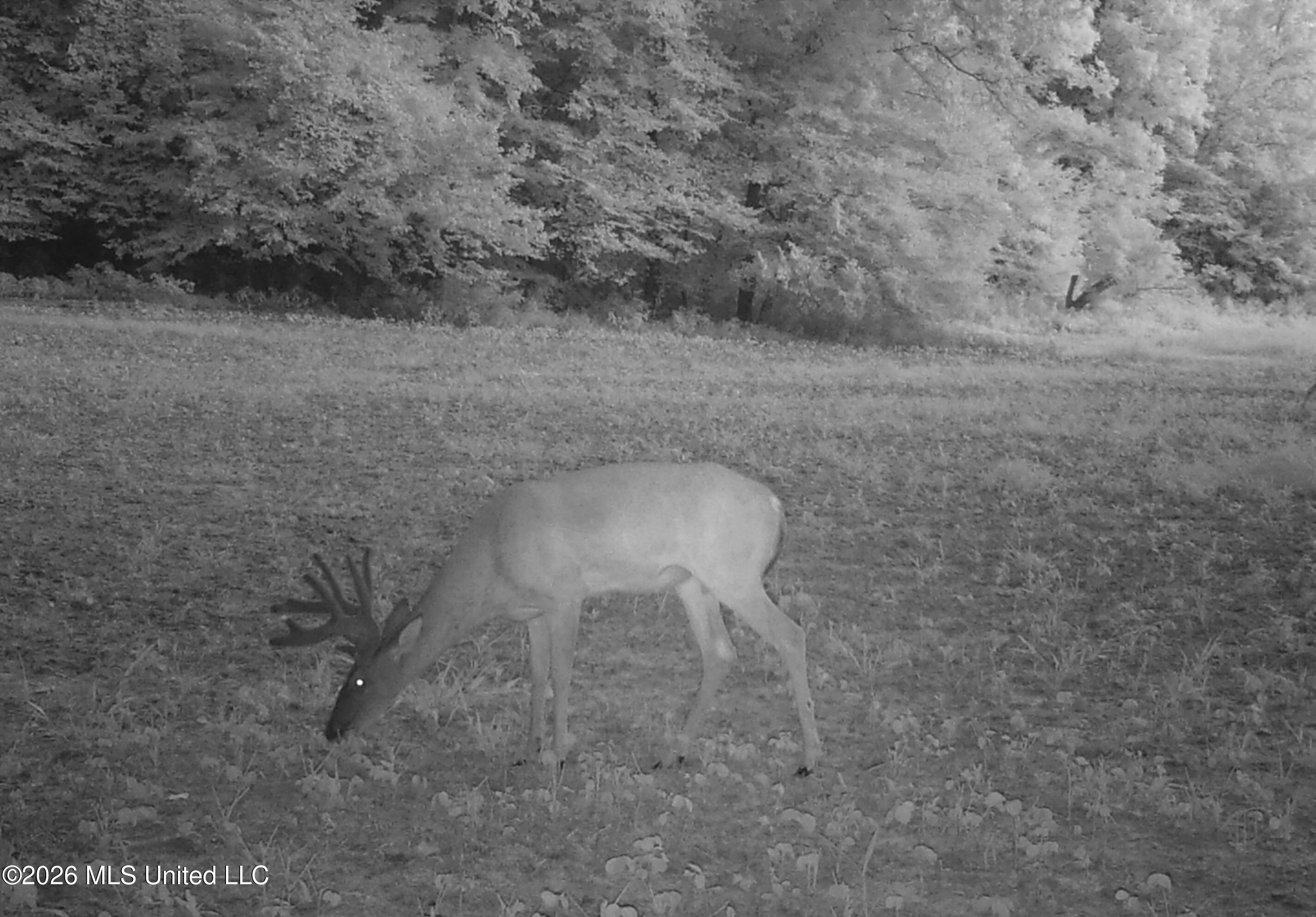 2776 Sees Chapel Road Sarah, MS 38665 - Photo 104 of 124 IMAG0171