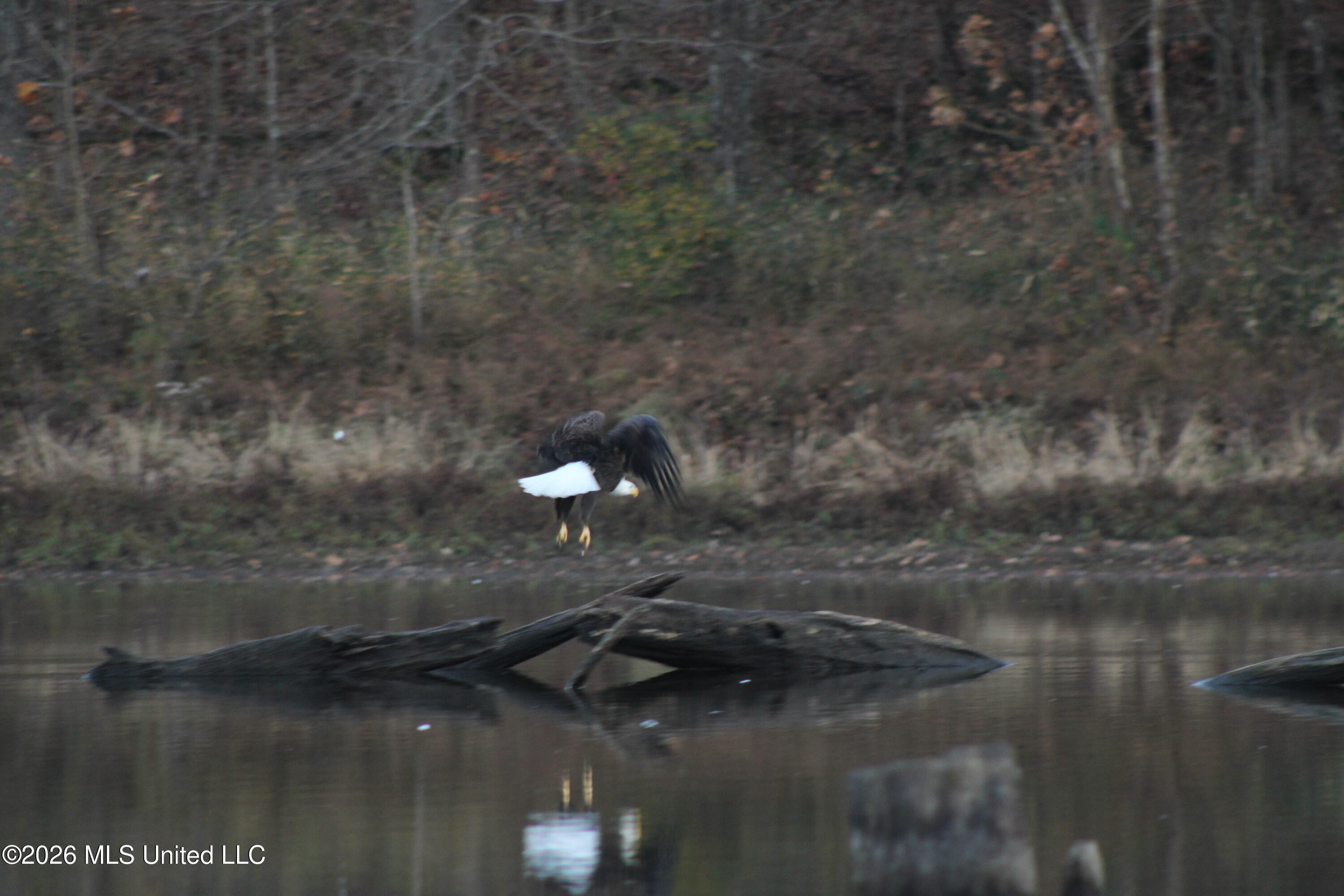 2776 Sees Chapel Road Sarah, MS 38665 - Photo 106 of 124 IMG_0322