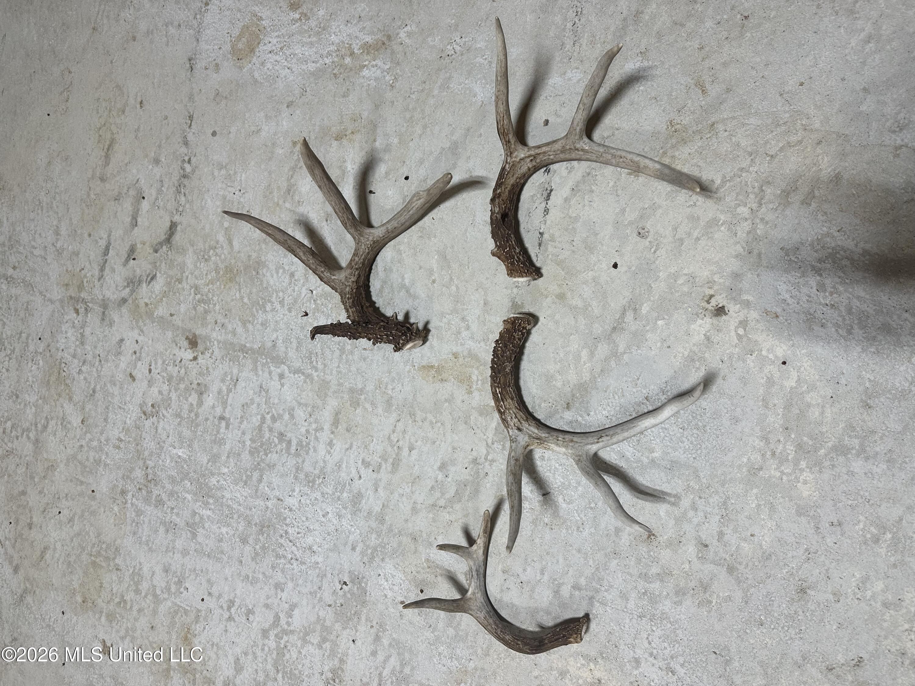 2776 Sees Chapel Road Sarah, MS 38665 - Photo 107 of 124 IMG_0413