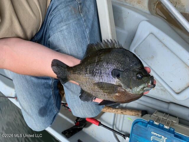 2776 Sees Chapel Road Sarah, MS 38665 - Photo 108 of 124 IMG_2037