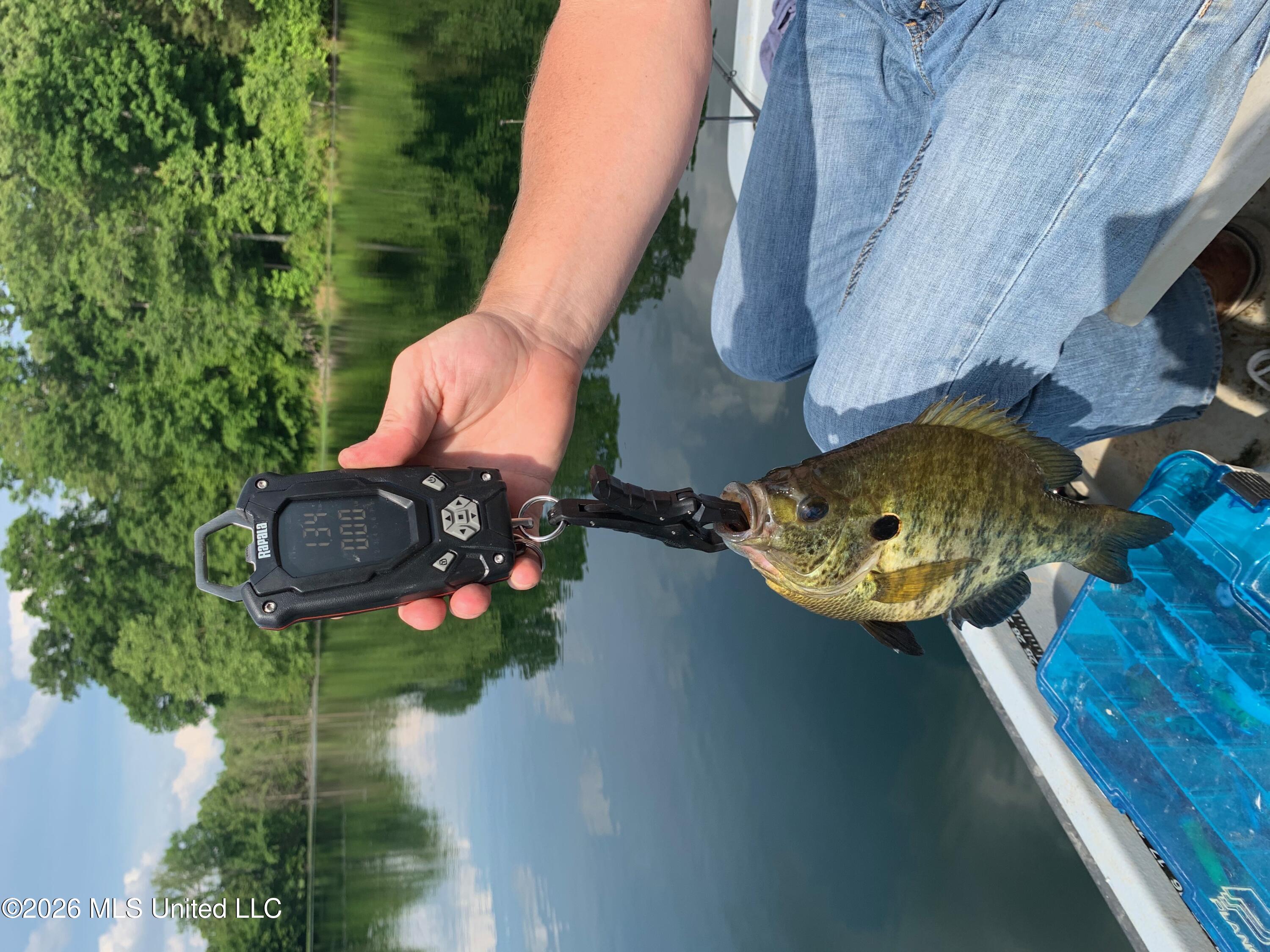 2776 Sees Chapel Road Sarah, MS 38665 - Photo 109 of 124 IMG_2072