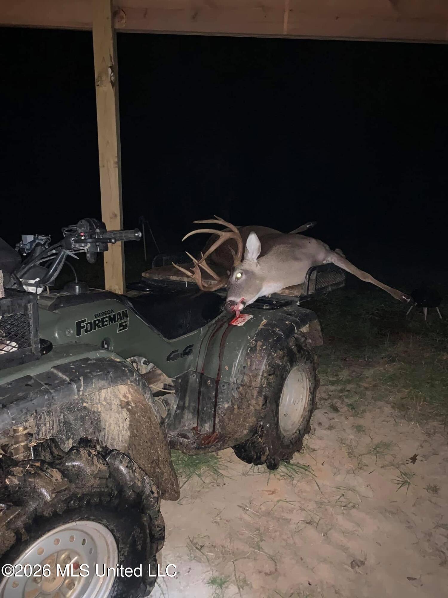 2776 Sees Chapel Road Sarah, MS 38665 - Photo 110 of 124 IMG_3661