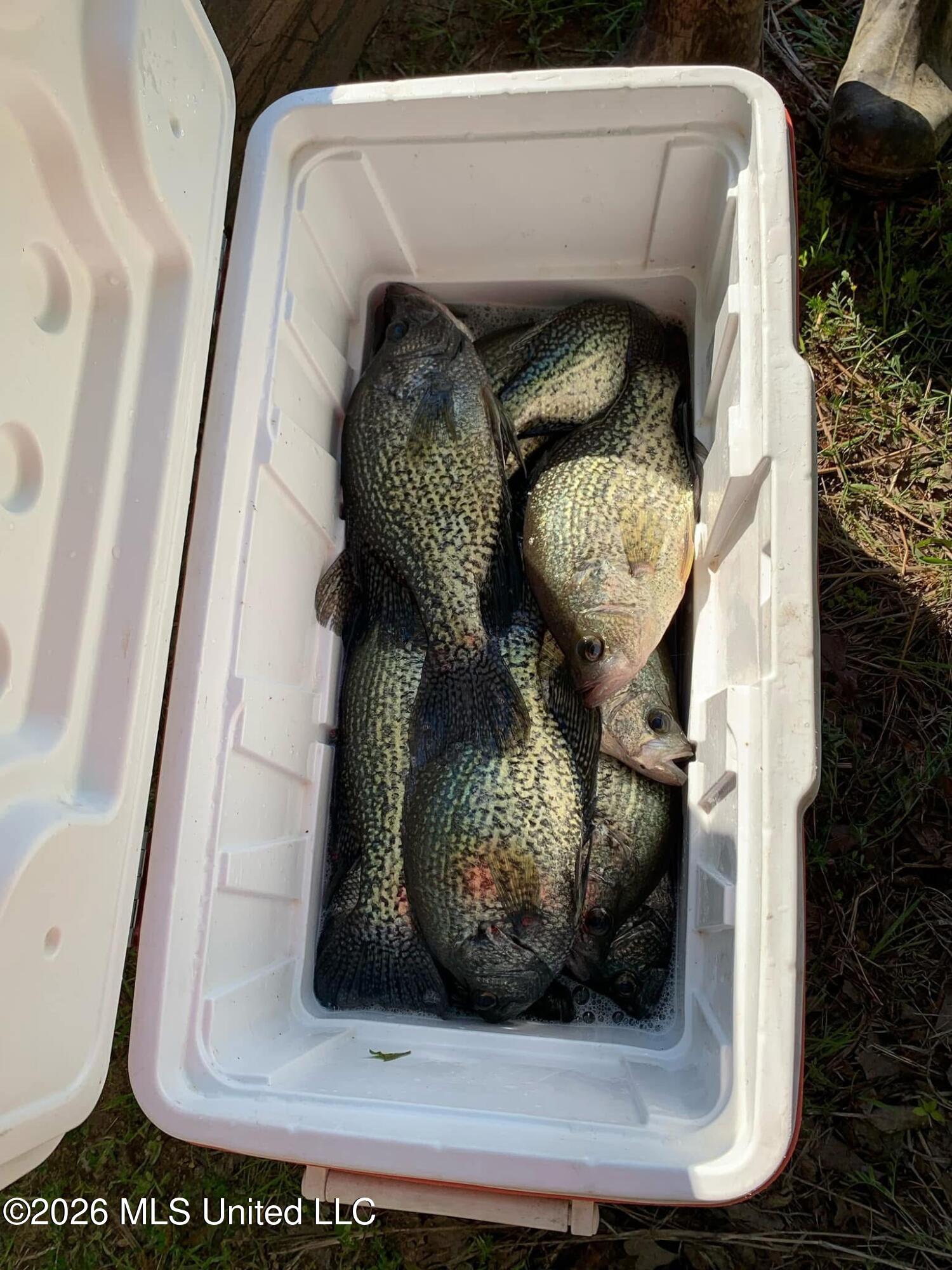 2776 Sees Chapel Road Sarah, MS 38665 - Photo 111 of 124 IMG_3662