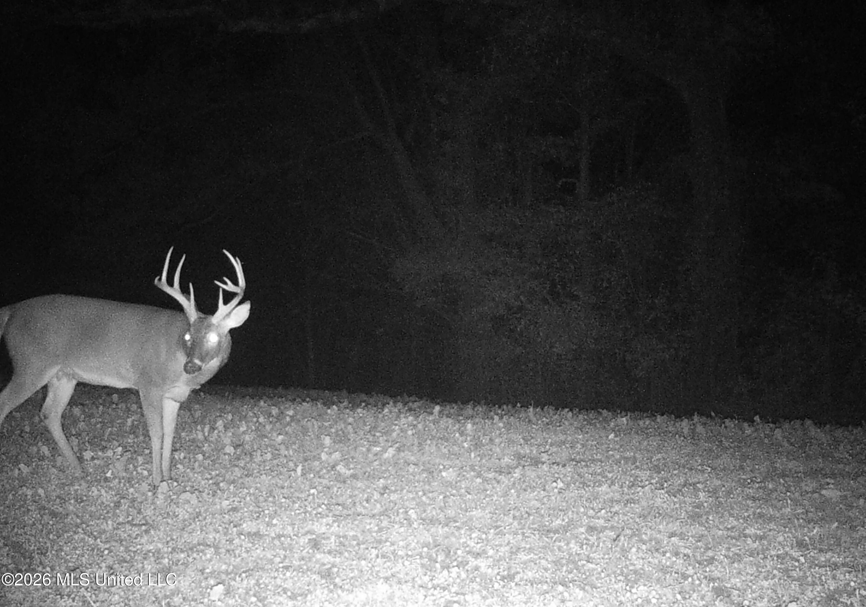 2776 Sees Chapel Road Sarah, MS 38665 - Photo 112 of 124 IMG_3665