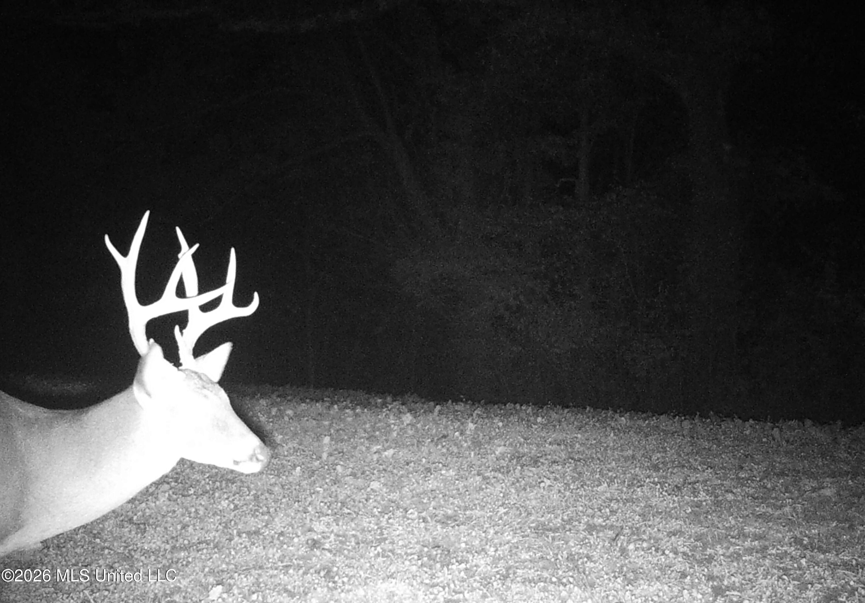 2776 Sees Chapel Road Sarah, MS 38665 - Photo 113 of 124 IMG_3666