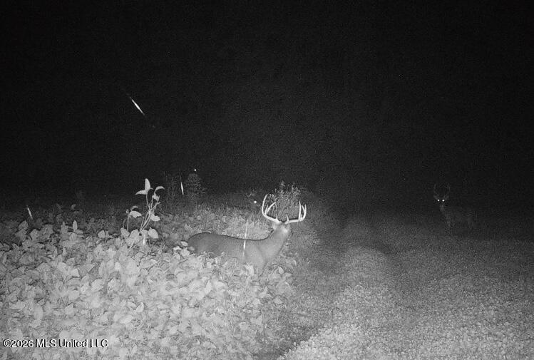 2776 Sees Chapel Road Sarah, MS 38665 - Photo 114 of 124 IMG_4198