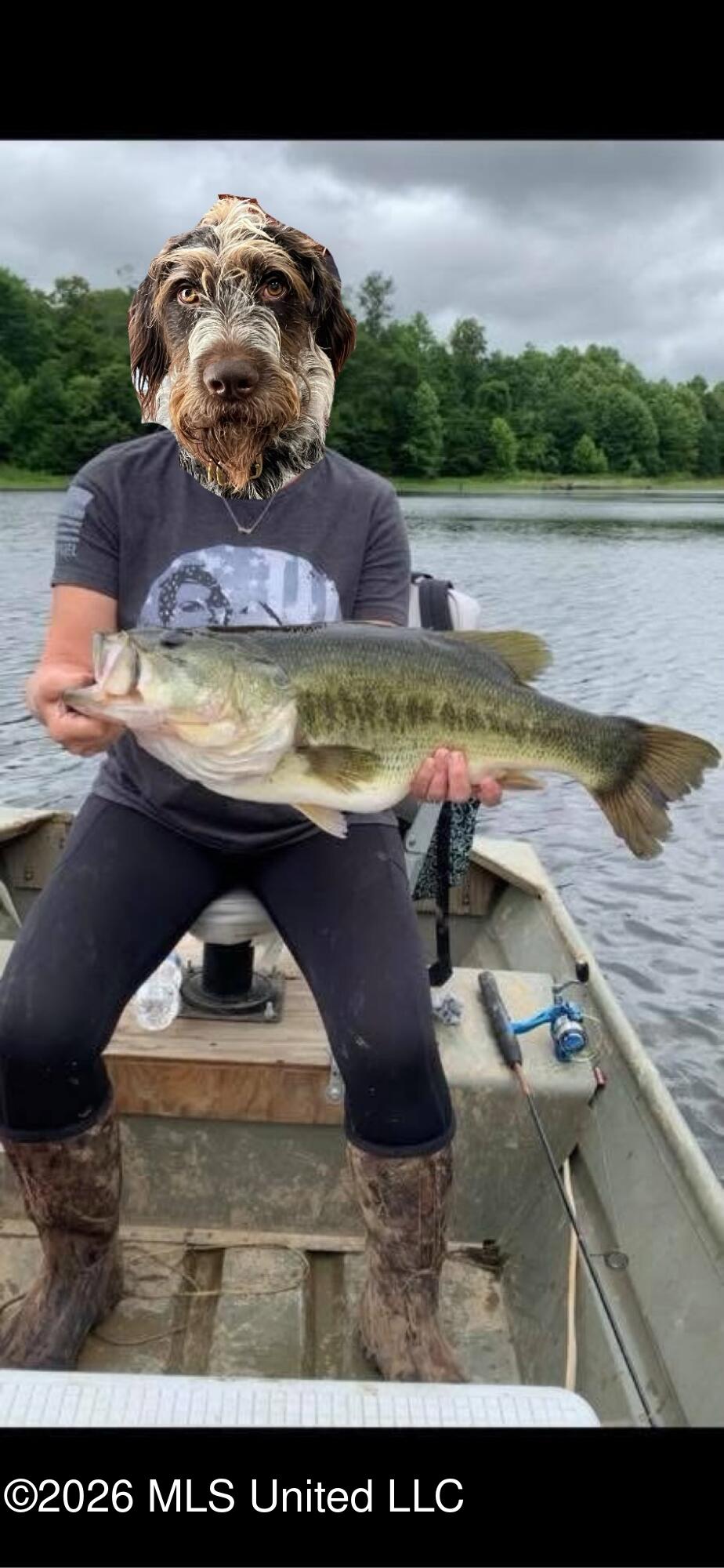 2776 Sees Chapel Road Sarah, MS 38665 - Photo 118 of 124 SIX_2E60D5EF-3678-4B30-93F3-B80AE8B878D1