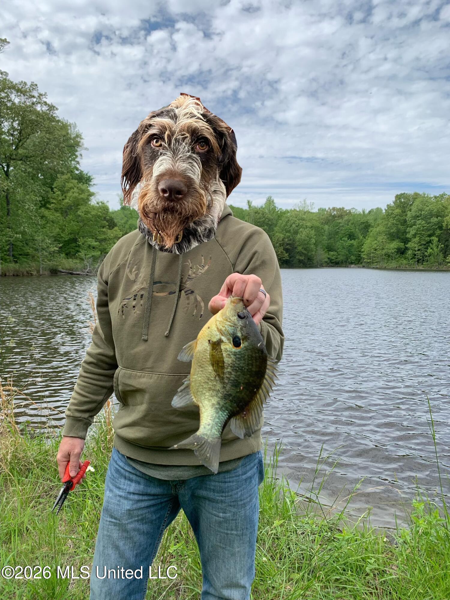 2776 Sees Chapel Road Sarah, MS 38665 - Photo 119 of 124 SIX_71C5330A-89F0-46D8-88B9-862BDCDA7746