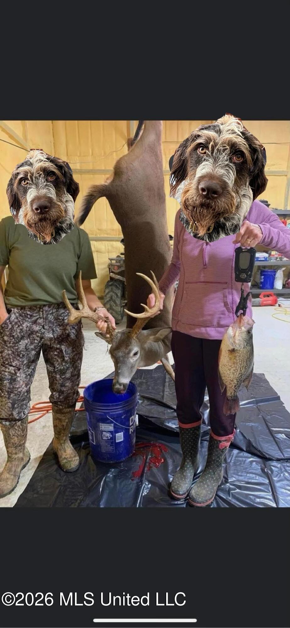 2776 Sees Chapel Road Sarah, MS 38665 - Photo 120 of 124 SIX_91A6E394-E56C-48AF-A310-0822C4E2241D