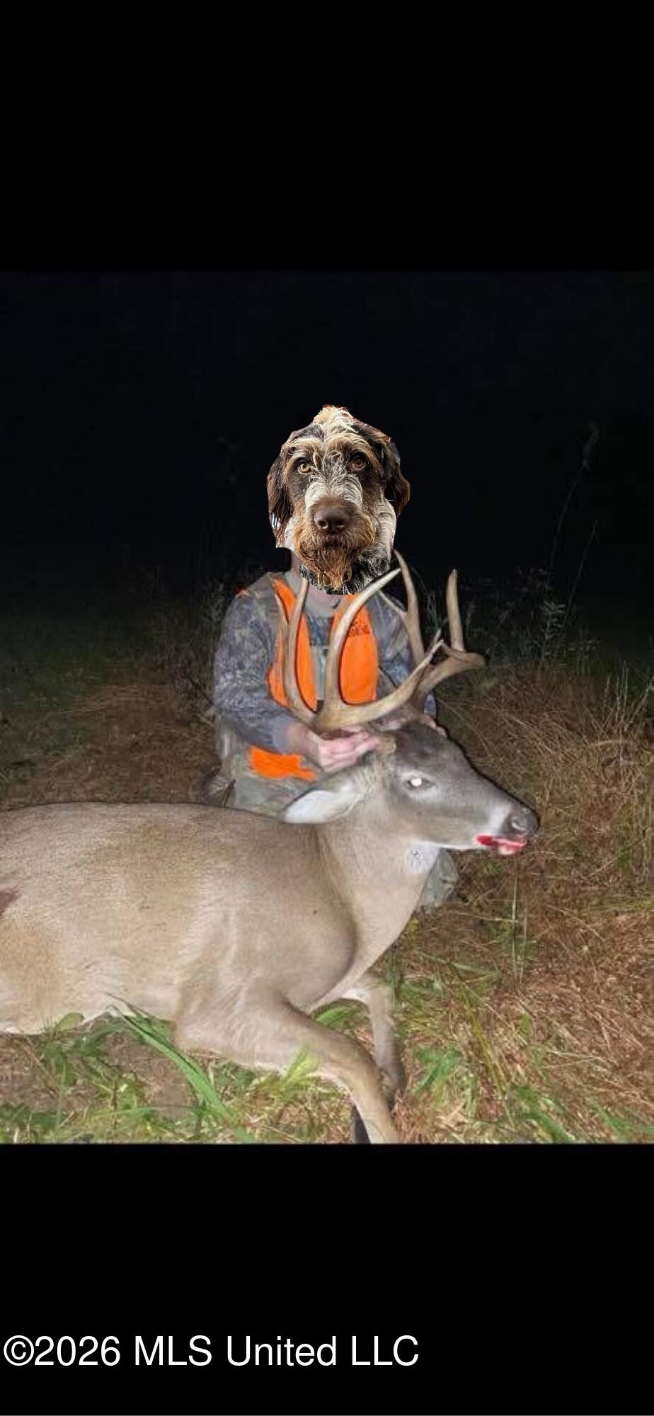 2776 Sees Chapel Road Sarah, MS 38665 - Photo 121 of 124 SIX_456A0AC3-01F4-4C40-8B4C-0091F8D4AA55