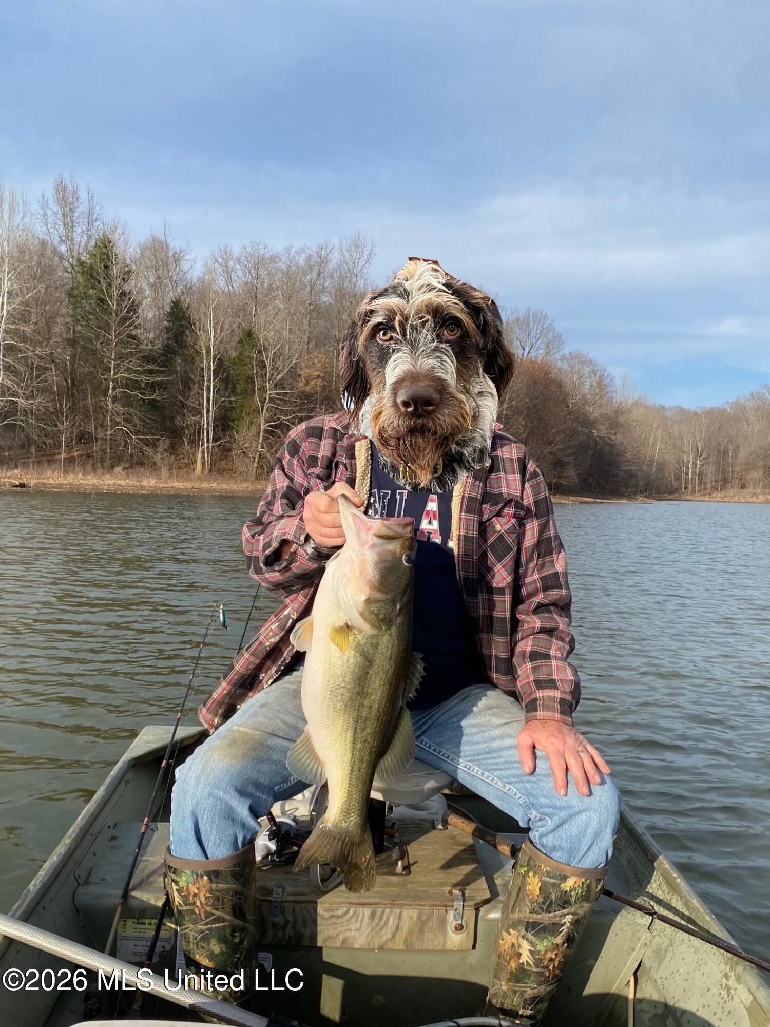 2776 Sees Chapel Road Sarah, MS 38665 - Photo 122 of 124 SIX_3596EC79-24E3-4DFB-AEDB-956047520D04