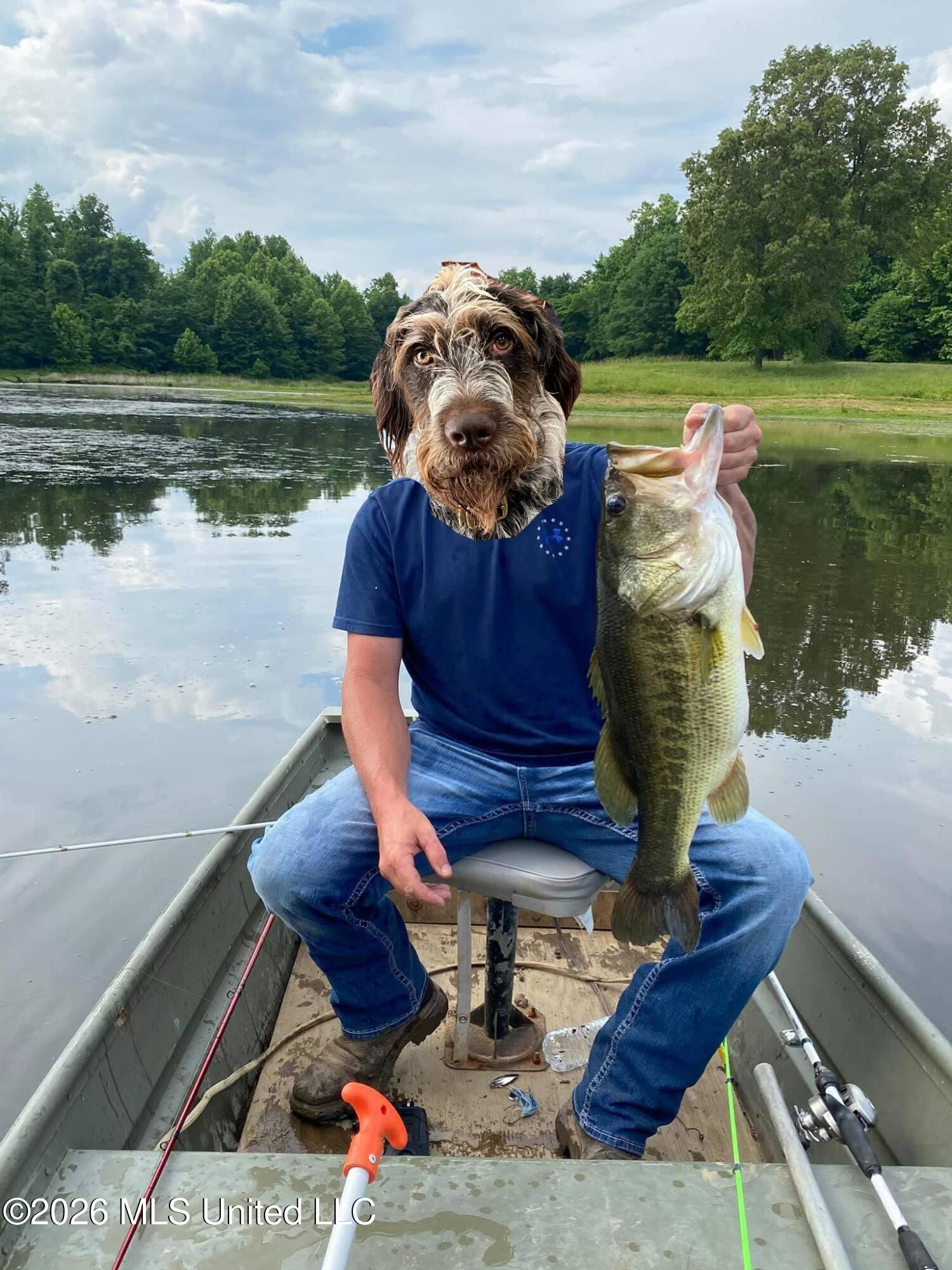 2776 Sees Chapel Road Sarah, MS 38665 - Photo 123 of 124 SIX_D85A5855-067D-4DF2-B4A3-39D55BF10CA0