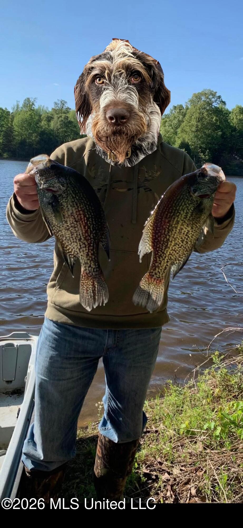 2776 Sees Chapel Road Sarah, MS 38665 - Photo 124 of 124 SIX_DB656A5C-4985-4A13-AD10-CF30C446BA3B