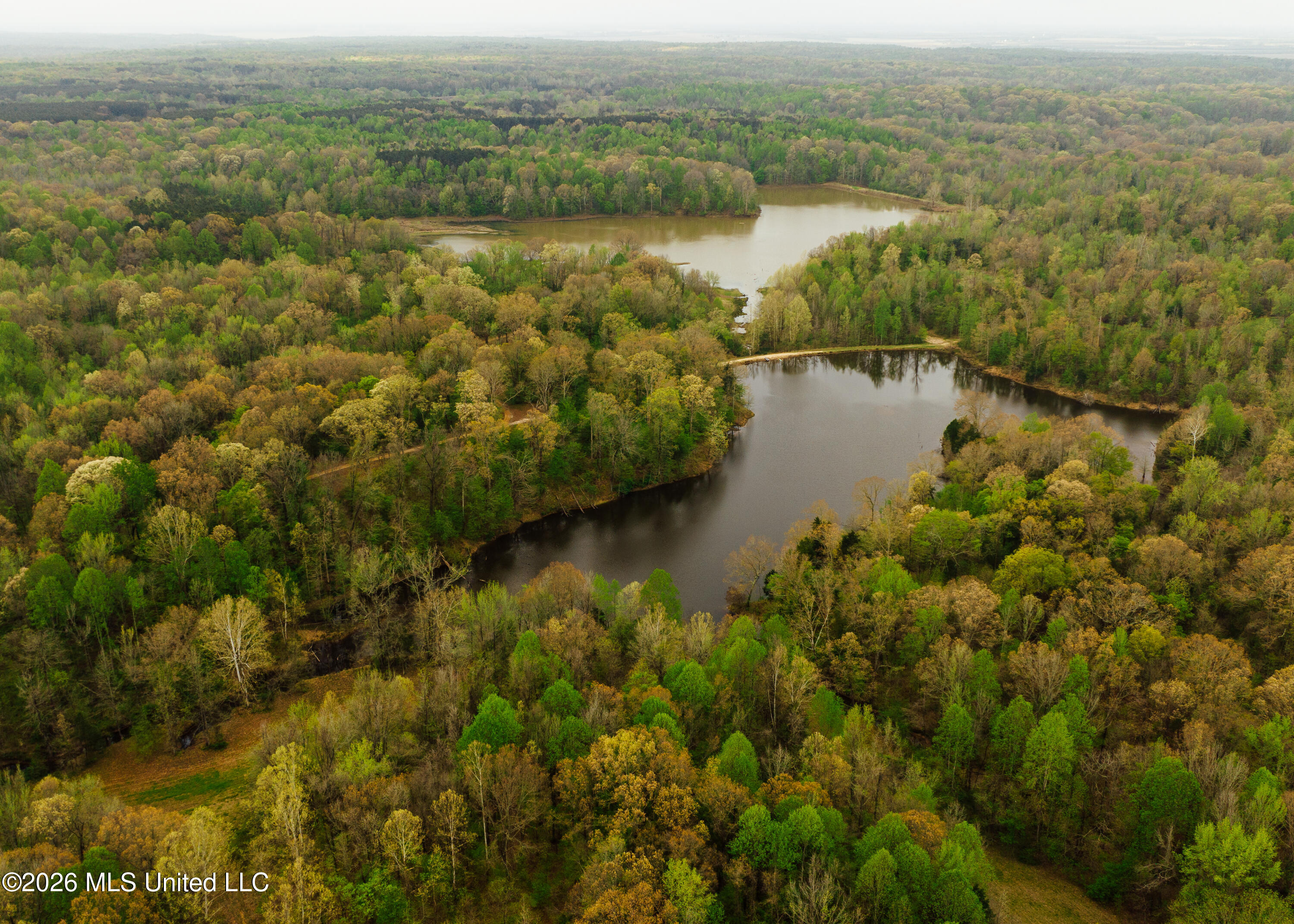 2776 Sees Chapel Road Sarah, MS 38665 - Photo 16 of 124 Panola 235 -17