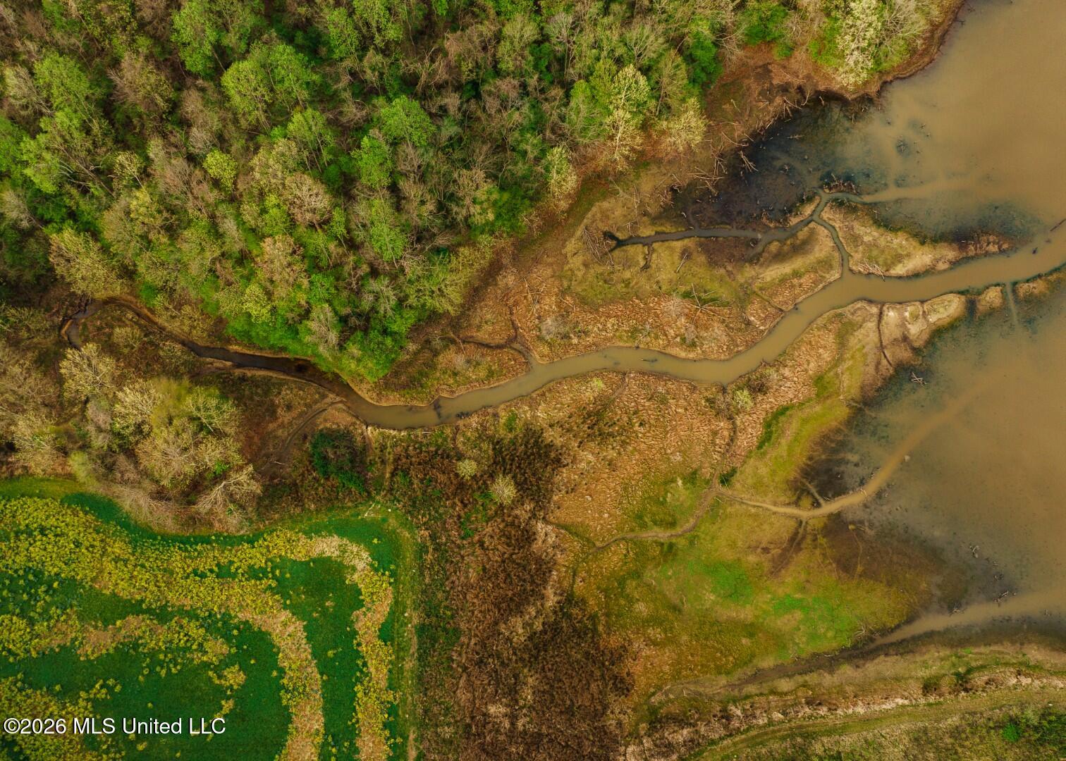 2776 Sees Chapel Road Sarah, MS 38665 - Photo 17 of 124 Panola 235 -8 (Large)