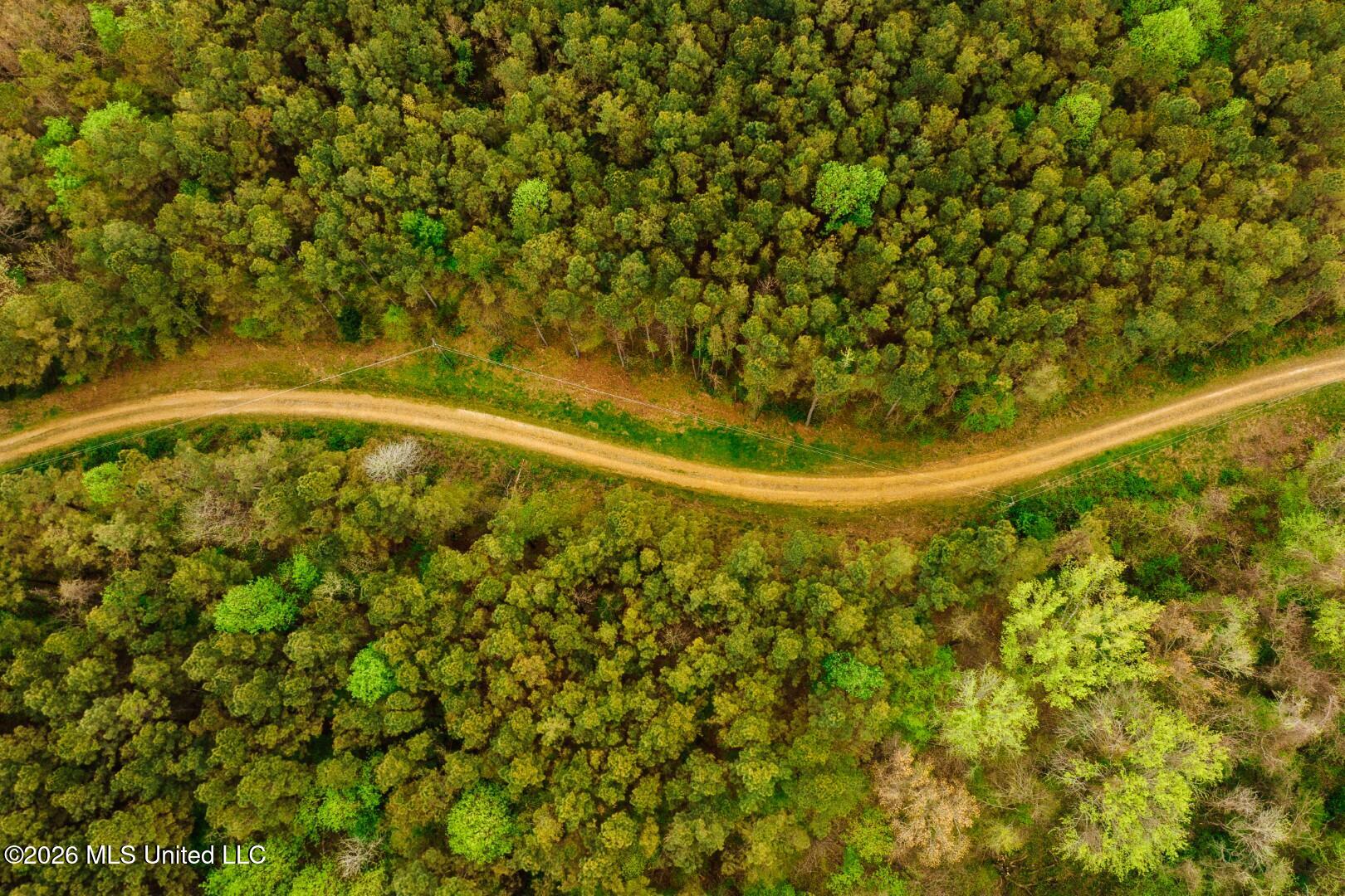 2776 Sees Chapel Road Sarah, MS 38665 - Photo 19 of 124 Panola 235 -19 (Large)