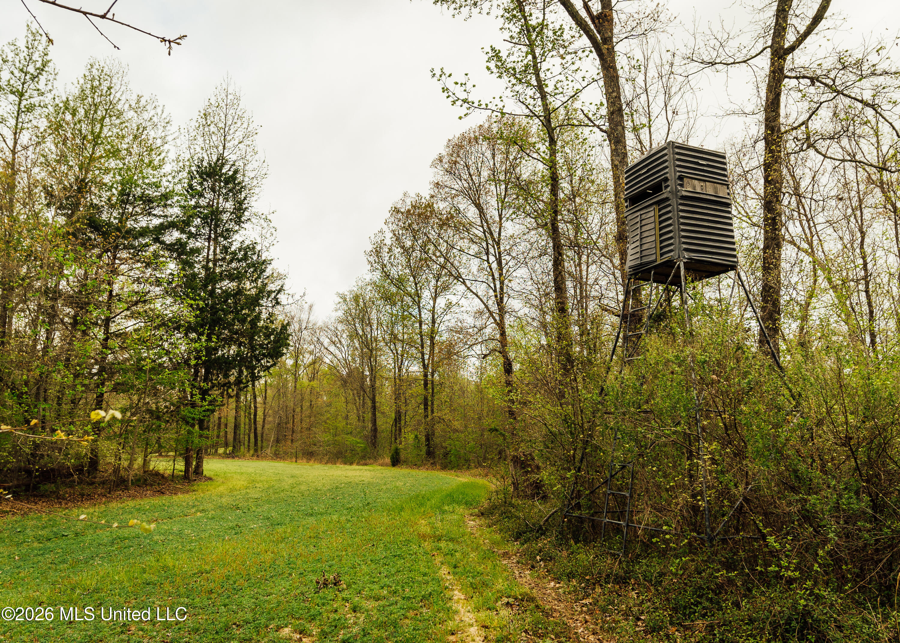 2776 Sees Chapel Road Sarah, MS 38665 - Photo 2 of 124 1