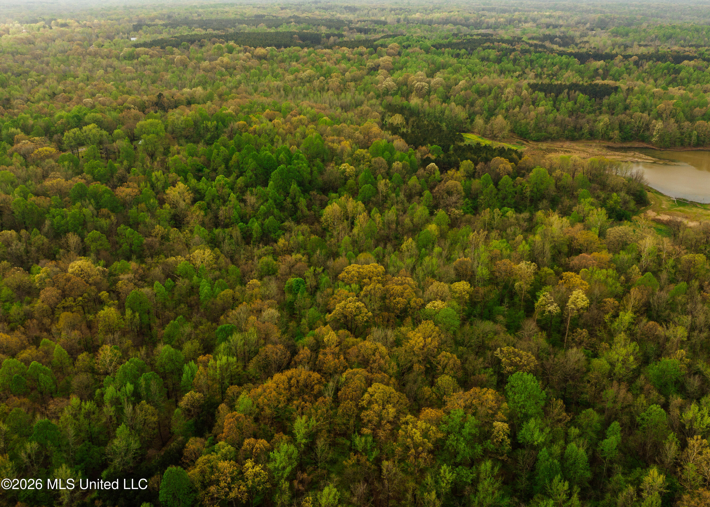 2776 Sees Chapel Road Sarah, MS 38665 - Photo 22 of 124 Panola 235 -24