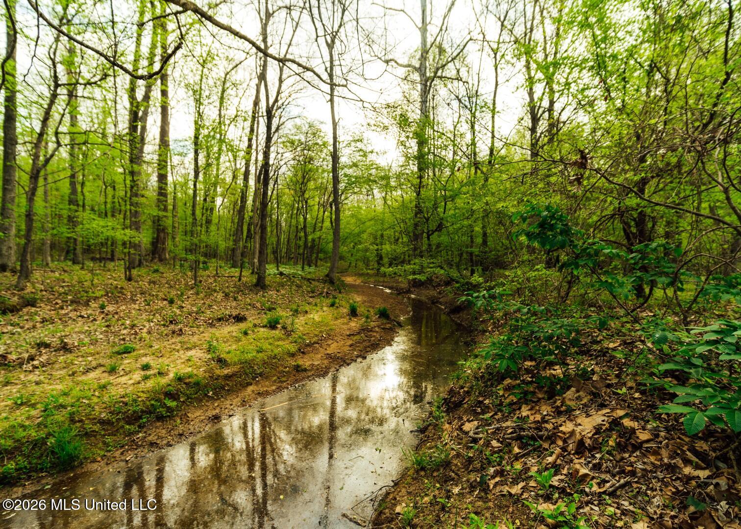 2776 Sees Chapel Road Sarah, MS 38665 - Photo 27 of 124 Panola 235 -42 (Large)