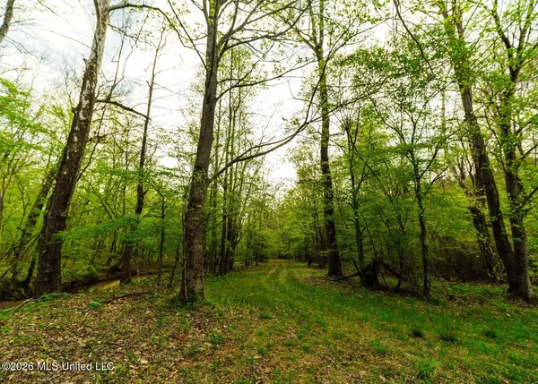 $1,099,800 | 2776 Sees Chapel Road, Sarah, MS 38665
