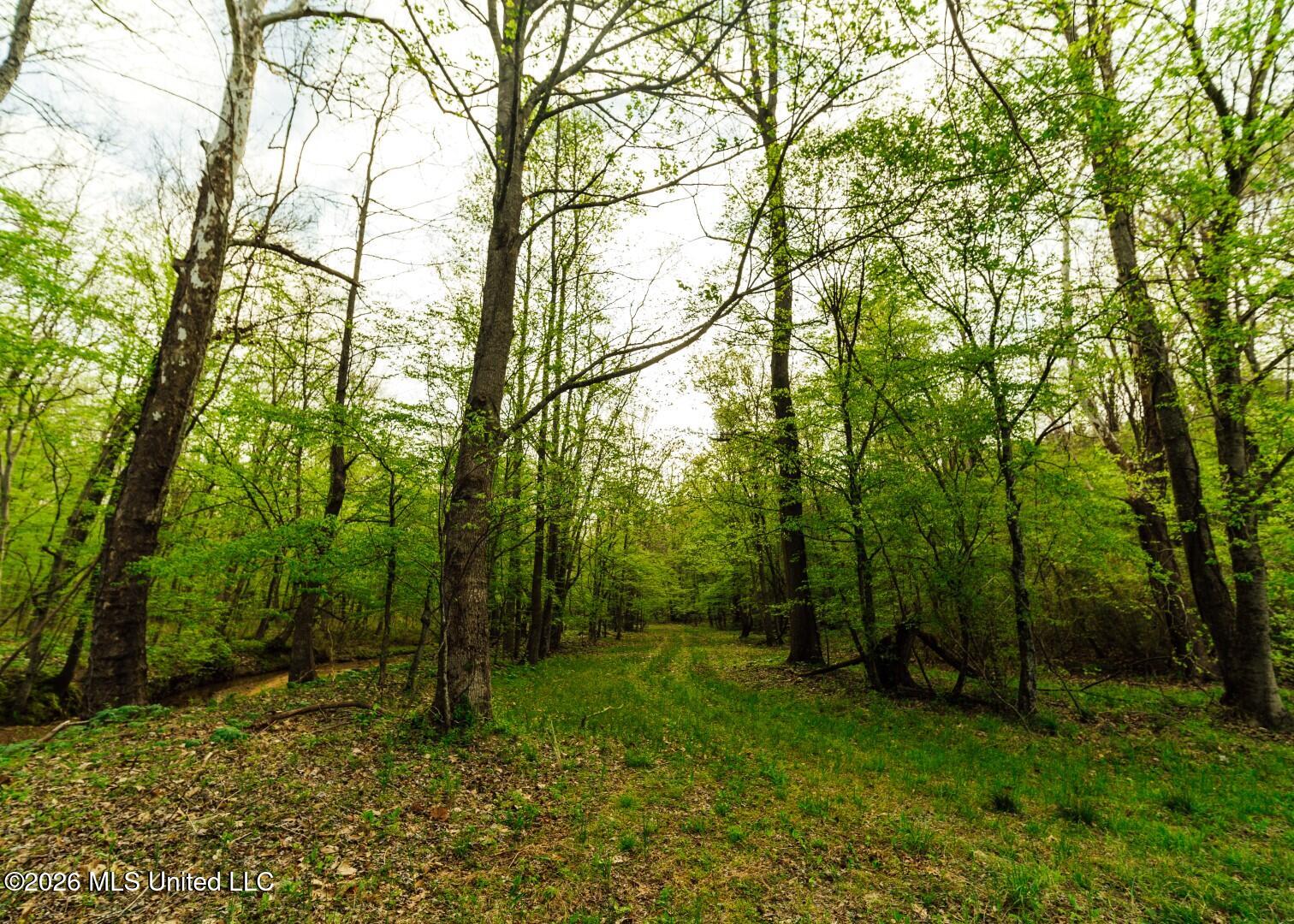 2776 Sees Chapel Road Sarah, MS 38665 - Photo 28 of 124 Panola 235 -43 (Large)