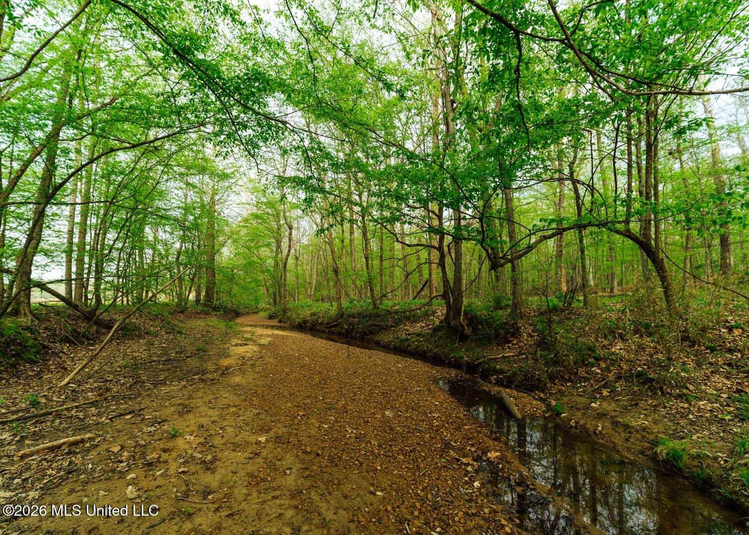 2776 Sees Chapel Road Sarah, MS 38665 - Photo 30 of 124 Panola 235 -45 (Large)