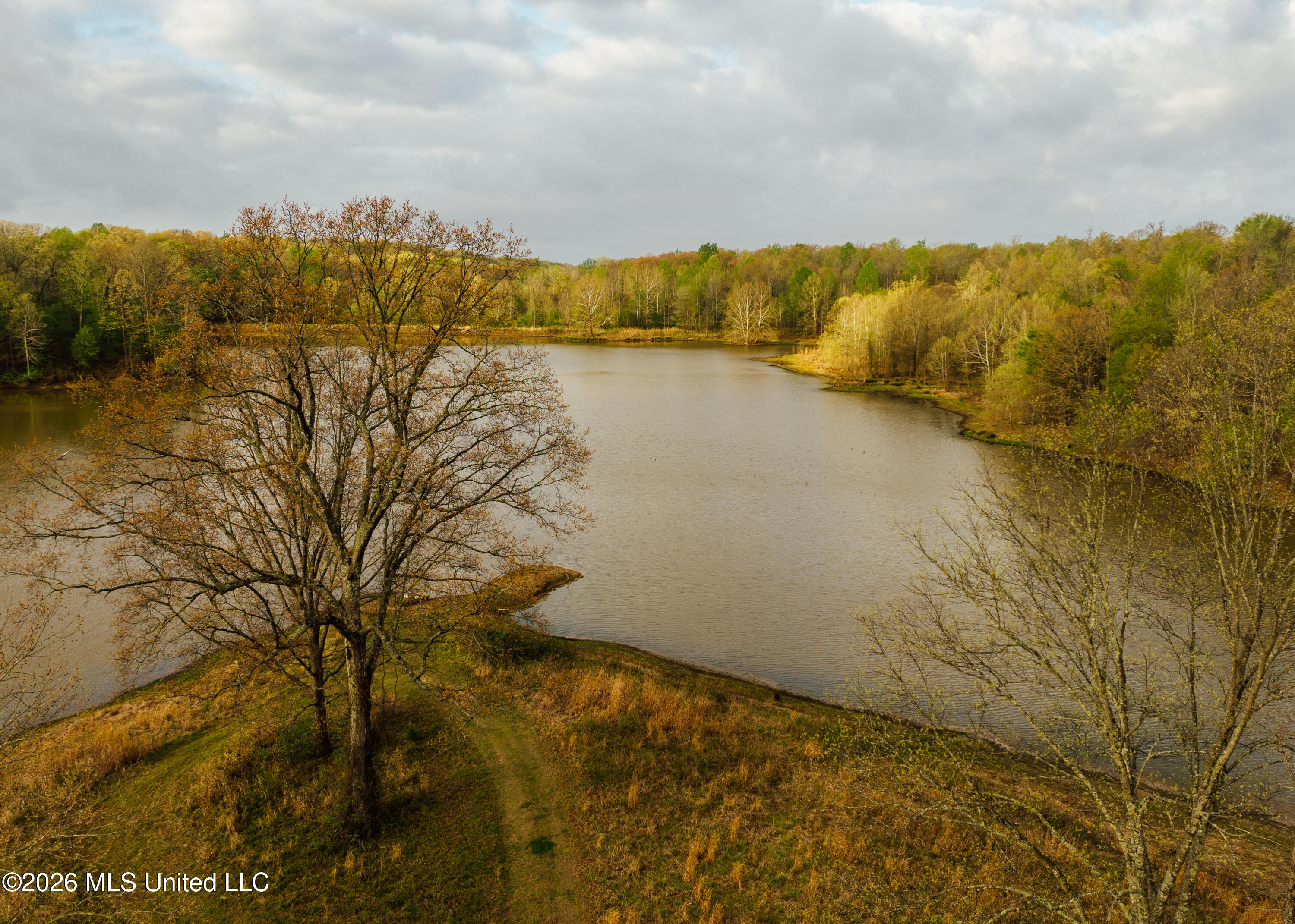 2776 Sees Chapel Road Sarah, MS 38665 - Photo 3 of 124 2