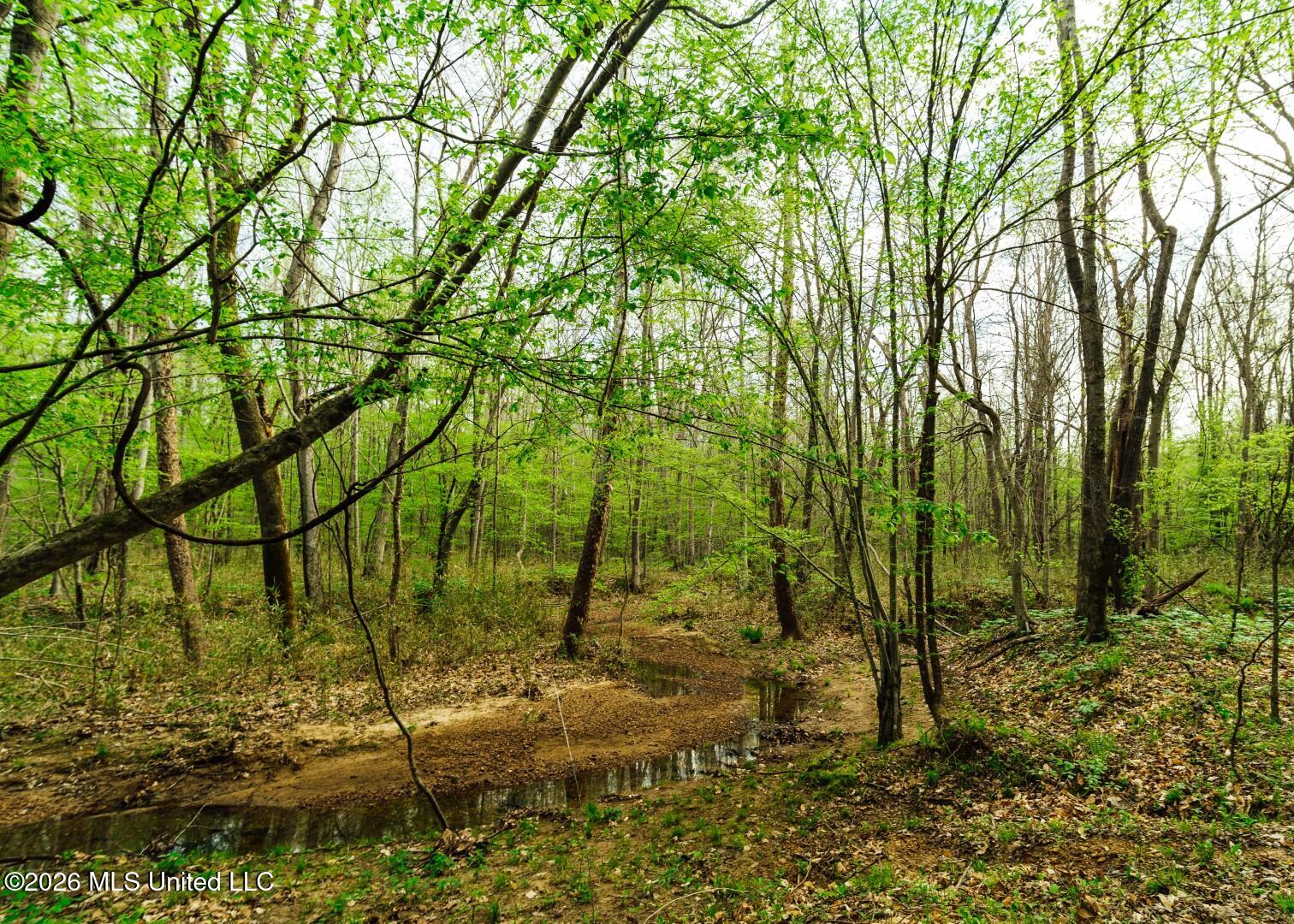 2776 Sees Chapel Road Sarah, MS 38665 - Photo 31 of 124 Panola 235 -46 (Large) (1)