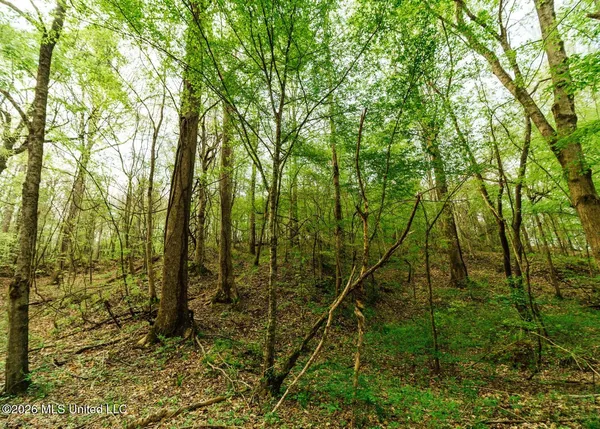 $1,099,800 | 2776 Sees Chapel Road, Sarah, MS 38665