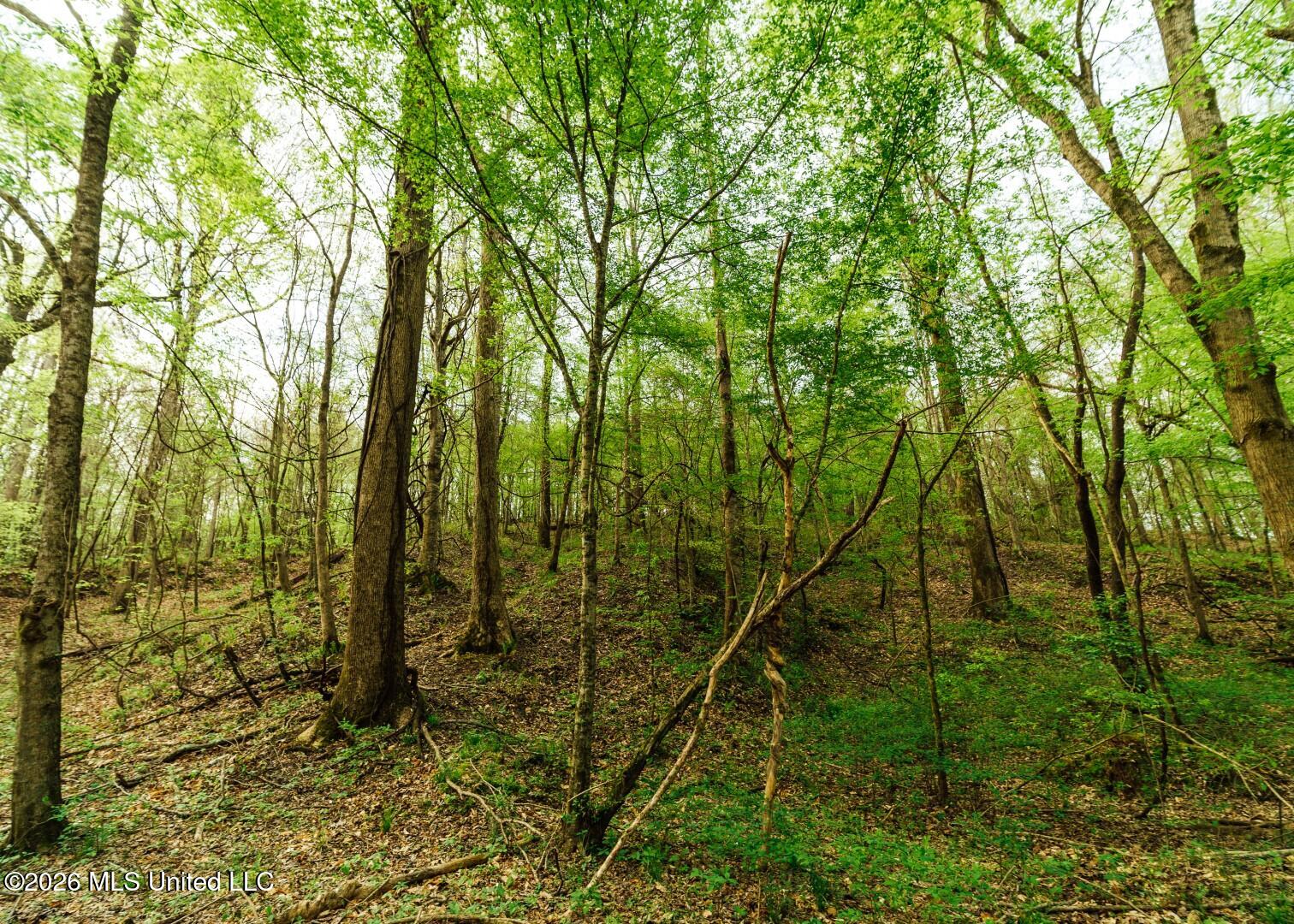 2776 Sees Chapel Road Sarah, MS 38665 - Photo 32 of 124 Panola 235 -47 (Large)