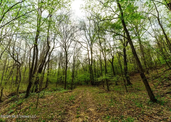 $1,099,800 | 2776 Sees Chapel Road, Sarah, MS 38665