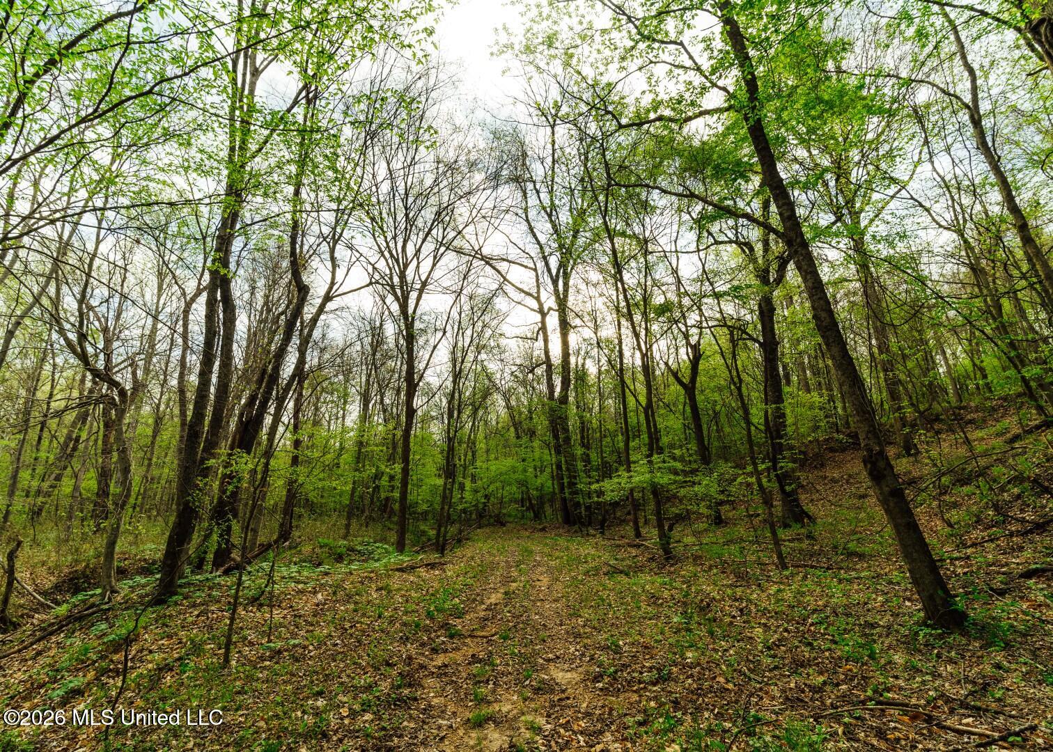 2776 Sees Chapel Road Sarah, MS 38665 - Photo 33 of 124 Panola 235 -48 (Large)